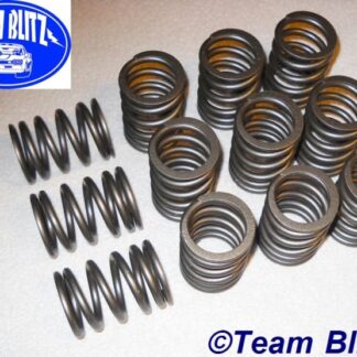 Valve Spring Set, Cologne V6