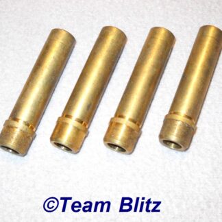 Valve Guide Set, 2.3L Ford Motorsports