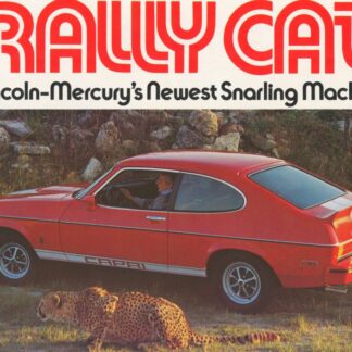 Rally Cat Stripe Kit